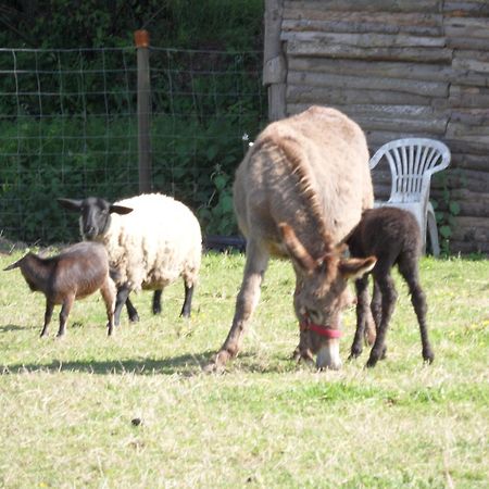 Les Pieds Dans L'Herbe Bed & Breakfast Rosporden Exterior foto