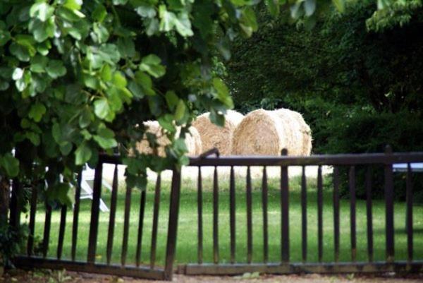 Les Pieds Dans L'Herbe Bed & Breakfast Rosporden Exterior foto